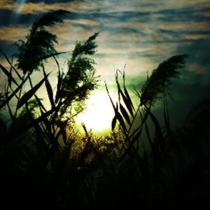 近親五十路六十交尾厨房
