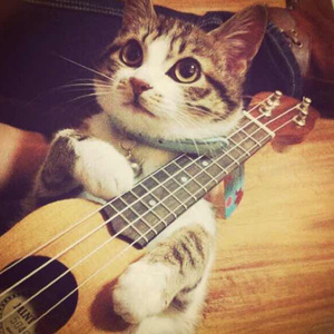 近親五十路六十交尾厨房
